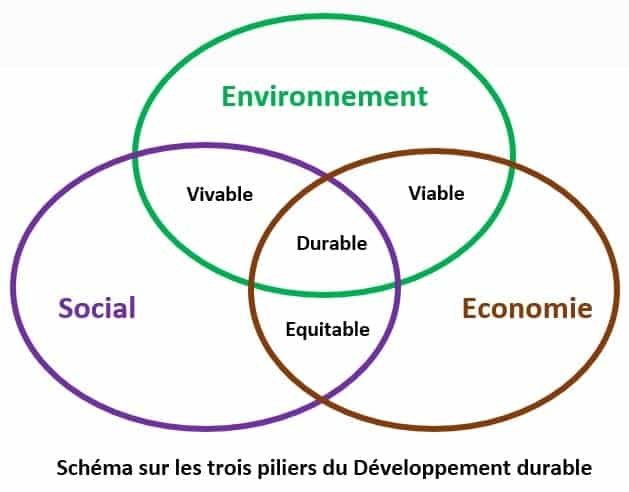 schéma piliers du développement durable